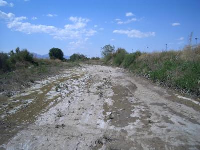 MXCO0165.JPG