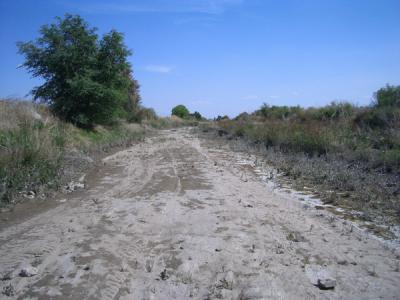 MXCO0166.JPG