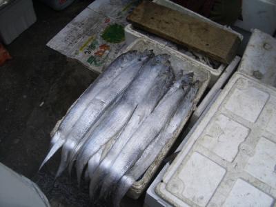 KREA0021.JPG