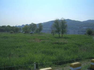 KREA0177.JPG