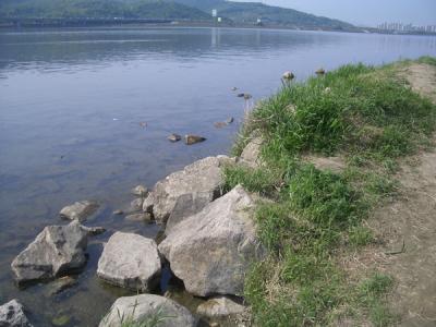 Tour of DMZ, Seoul city parks