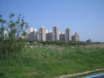 KREA0184.JPG