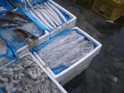 KREA0213.JPG