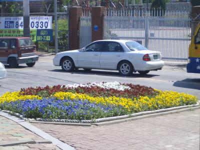 KREA0398.JPG