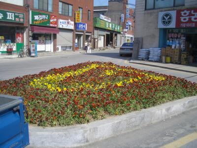 KREA0440.JPG