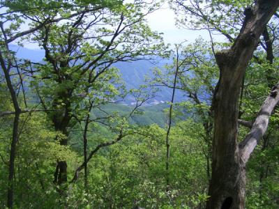 KREA0474.JPG