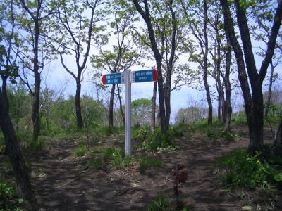 KREA0475.JPG