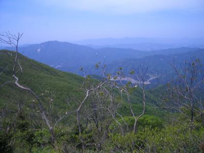 KREA0482.JPG