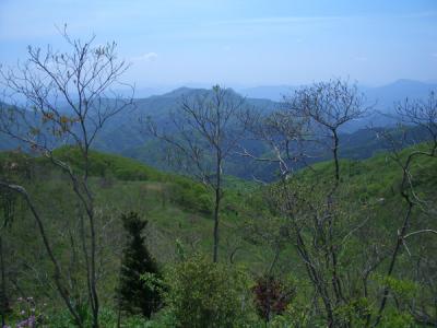 KREA0483.JPG