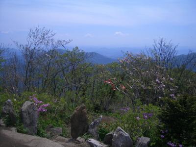 KREA0484.JPG