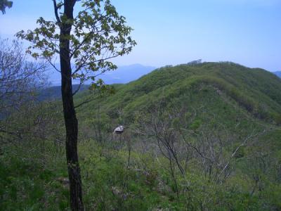 KREA0496.JPG