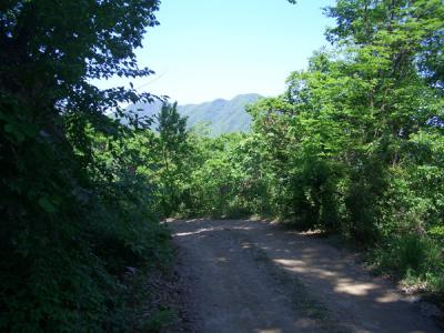 KREA0509.JPG