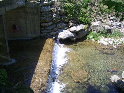 KREA0515.JPG