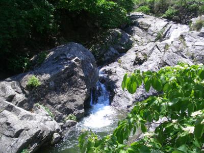 KREA0519.JPG