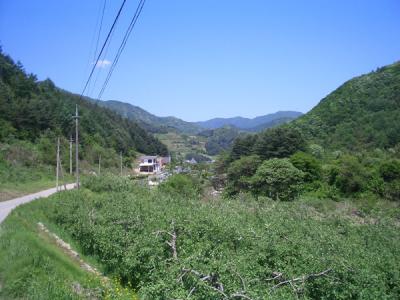 KREA0522.JPG