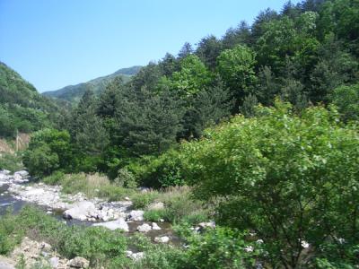 KREA0530.JPG
