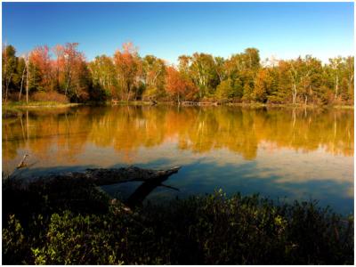 Pond at MacGregor Point