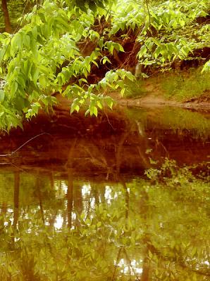 creek6590.jpg
