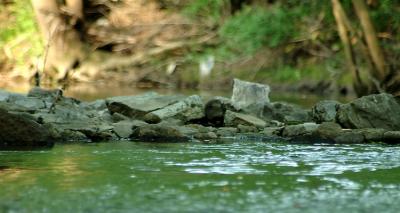 creek6631.jpg