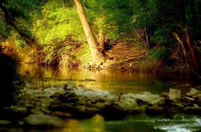 creek6636.jpg