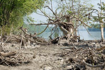 flood-scoured floodplain near bridge
