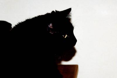 black and white
