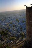 jodhpur fort tower