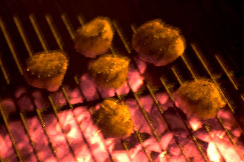 grilled scallops, 2 second exposure, available light