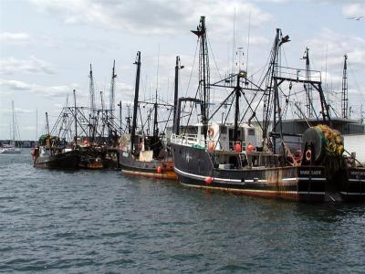 Fishing Fleet Newport