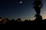 The Sunset