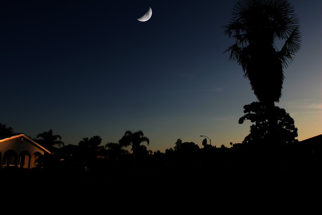 The Sunset