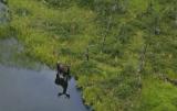 Yukon, Canada Images 75