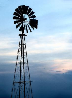 Sentinel At Dusk