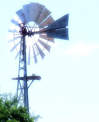Windmill In The Sunshine