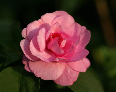 PICT1143.jpg