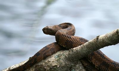 PICT1249.jpg