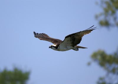 PICT1550.jpg