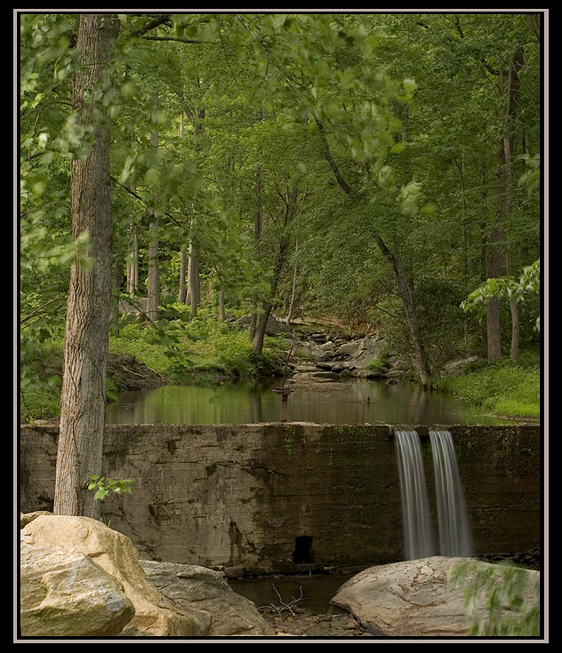 aCRW_1544.jpg