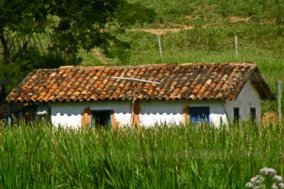 fazendas 2005.026.jpg