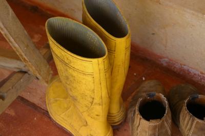 fazendas 2005.047.jpg
