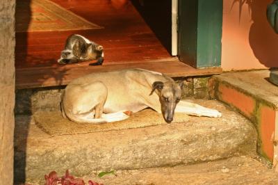 fazendas 2005.079.jpg