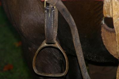 fazendas 2005.180.jpg