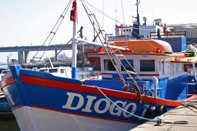 LE BATEAU DE PECHE TYPE