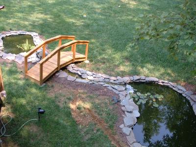 Ponds, stream and bridge