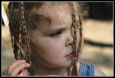 u26/sbouchard/medium/44034403.DSC_1652_f.jpg