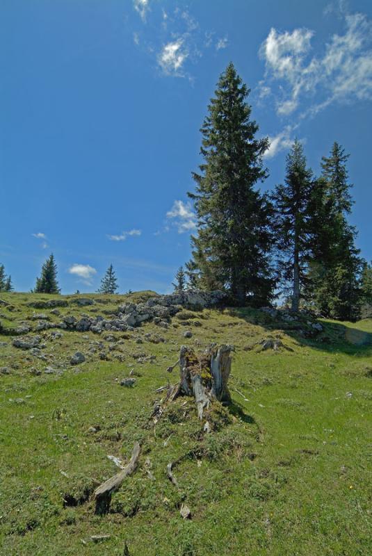 Pass of Marchairuz (Swiss Jura mountains)