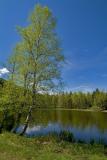 Lake of Joux (Swiss Jura mountains)