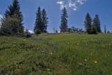 Pass of Marchairuz (Swiss Jura mountains)