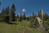 Pass of Marchairuz (Swiss Jura mountains)