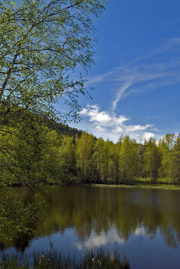 Lake of Joux (Swiss Jura mountains)